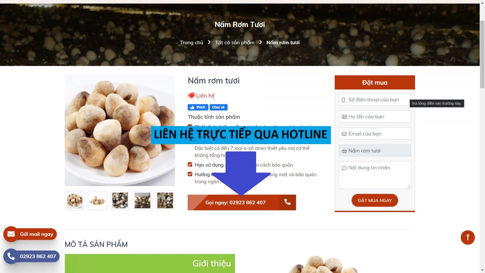 Hướng dẫn mua hàng Hướng dẫn mua hàng